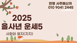 사주명리학 [2025 을사년 운세보기5] 만명 사주메신저