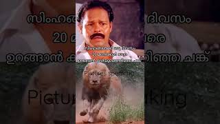 ആണ്ടവ അതൊക്കെ ആണ് ലൈഫ് 😴😂 #fact about #lion