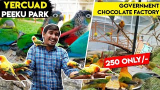 BIRDS PARK | yercaud tourist places | PEEKU PARK | ₹ 250 peeku birds park  #YERCAUD #BIRDS #SALEM