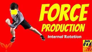 Acquiring Internal Rotation and Progressing to Force Production - BillHartmanPT.com Q\u0026A for The 16%