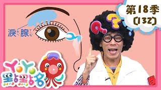 【YOYO點點名】為什麼會流眼淚？《巧克力盒子》｜香蕉哥哥 草莓姐姐｜幼幼兒童節目｜HD完整版｜第18季 第132集