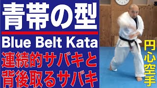 連続的サバキと背後取るサバキ・青帯の型 Blue Belt Kata　円心空手 Enshin-Karete