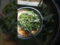 Mantap poll ‼️ masak gulai daun singkong hasil kebun sendiri