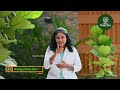 remedy to reduce abdominal fat belly fat dr venkatramana hegde nisarga mane