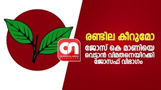 ജോസ് കെ മാണിയെ വെട്ടാൻ വിമതനെയിറക്കി ജോസഫ് വിഭാഗം, രണ്ടായി ചീന്താനൊരുങ്ങി രണ്ടില