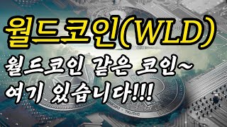 월드코인(WLD) 투자리포트│이제 선점이 정말 중요합니다! 견조한 상승을 보일 코인종목은 무엇이 있을까??