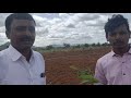 mahogany plantation at yerradoddi village kadiri mandal anantapur dist