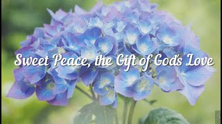 Sweet Peace, the Gift of God's Love Violin 1 Hour | There Comes to My Heart | Old Hymns | Sarai Jang