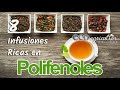 POLIFENOLES, ¿Por qué son tan importantes? Para qué son buenos. 8 infusiones ricas en antioxidantes