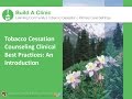 1: Build a Clinic: Tobacco Cessation Counseling Best Practices-An Introduction