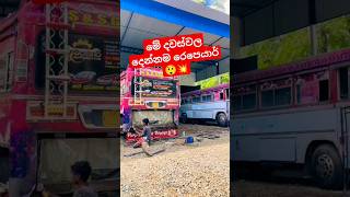 1st VS 2nd දම් රැජිණි කොහොමද ඒ දෙන්නා😍❤️💥 #remix #music #viralvideo #automobile #bus #trending