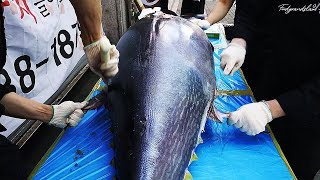 국내최초 길거리 생참치 해체쇼 / Giant TUNA Sashimi Cutting Skill - Korean Street Seafood