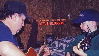 Billy Strings - Little Blossom (Official Audio) - ME/AND/DAD