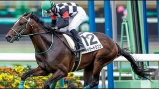 2歳新馬　芝1600m (右 外 C)　タイガードラゴン　牡2　54.0　永野猛蔵　2023.9.23　　出走馬：ルヴニール、ジャグアール、コナウェリナ、ホーハイト、マリノルージュ、マルチライセンス他