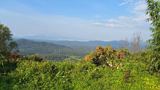 KSTDC Hotel Mayura Valley View -(Coorg) daytime View with English Subtitles - Part 2