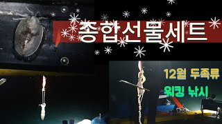 [한낚TV] 갑오징어 ,낙지, 호래기 . 두족류 종합선물세트 #갑오징어낚시 #쭈꾸미낚시 #호래기 낚시 #squid fishing #직결채비 #전남장흥 #장흥회진 #장흥노력도