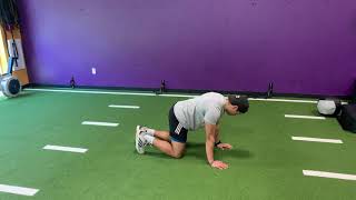 Quadruped Leg Lift