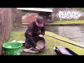 Winter Canal Fishing - Underwater Footage - Rikki Richards