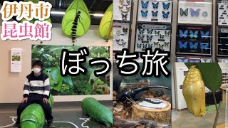 【必見】これが伊丹市昆虫館のクオリティ！大興奮する伊丹出身男。