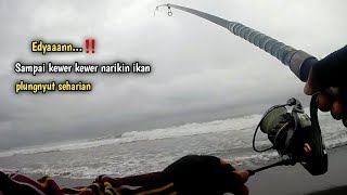 Kail jahat bikin ulah‼️ Sampai capek narik ikan saking banyaknya || Mancing Pasiran