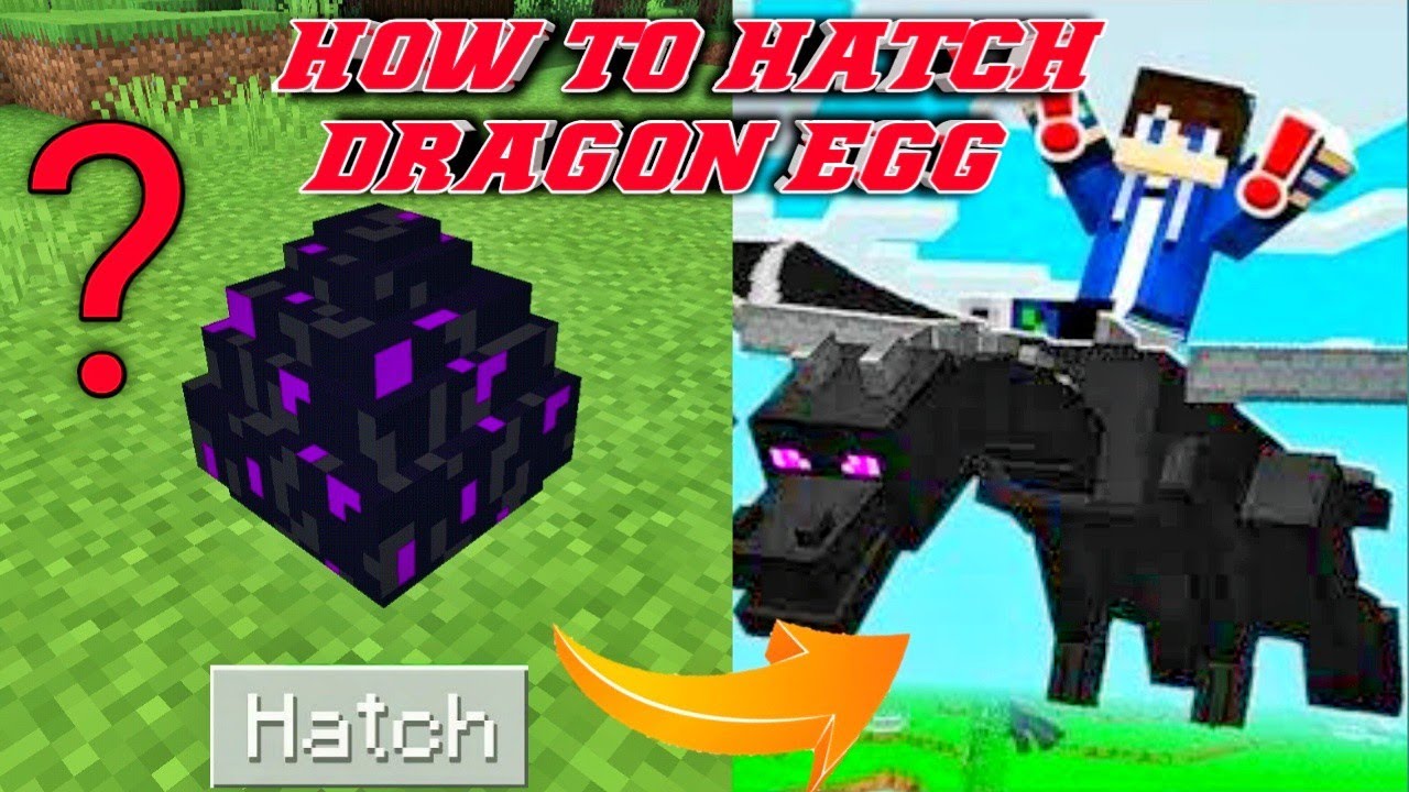 How To Hatch Ender Dragon Egg In Minecraft - YouTube