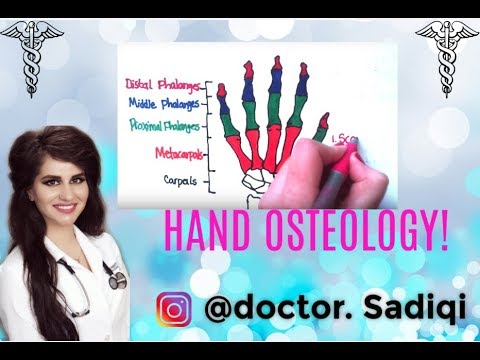 LEARN HAND & WRIST BONES IN LESS THAN A MINUTE!!! LEARN HAND & WRIST BONES IN LESS THAN A MINUTE!!!