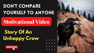Story Of An Unhappy Crow ┃Motivational video