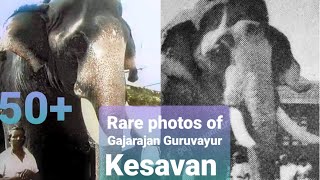 Rare photos of Gajarajan Guruvayur Kesavan