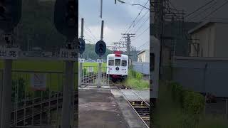 和歌山電鐵　貴志川線　　　　　いちご電車