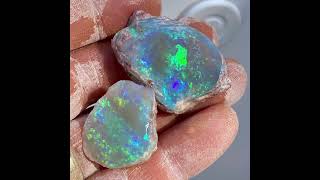 Grace Opal finally publish $250'000.00 opalised shell find.