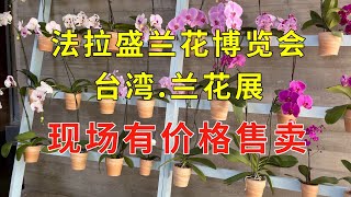 法拉盛植物园 台湾  兰花世界