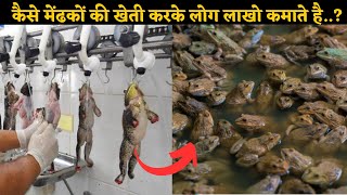 आखिर कैसे मेंढकों की खेती करके लोग लाखो कमाते है..? | Frog Farming Amazing Business Of farming |