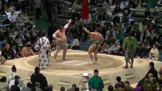 旭日松-誉富士/2017.3.22(38)/asahisho-homarefuji/day10 #sumo