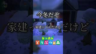 あれ？コイツ… #ゲーム実況 #あつ森 森 #あつまれどうぶつの森