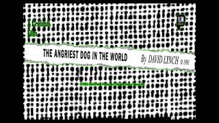 David Lynch- The angriest dog in the world