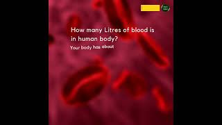 How many Litres of blood is in human body? #mechtalkies #humanbody #anotomy #Q\u0026A