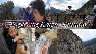 Spiti Valley Road Trip Ep 3 | Exploring Kalpa | Baleno | June 2023 | The Wandering Yodha