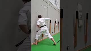 Shaolin Kihon Waza Makiwara Body Hardening Part 2 by Dennis Kempo  #martialarts #karate #kempo