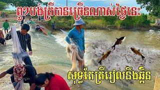 ពួៗបង់ត្រីបានច្រើនណាស់ថ្ងៃនេះ សុទ្ធតែត្រីរៀលនឹងត្រីឆ្ពិន (ទីតាំងព្រែកសឿ )