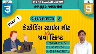 STD 12 CHAPTER 2 CSS AND JAVA SCRIPT PART-1