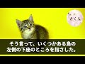 【感動する話】社長息子と対立し赤字続きの支社に左遷された俺。左遷先の皆で協力し売上を過去最高売上にすると美人客「あなたにお願いがあります」実は彼女…【いい話・朗読・泣ける話】