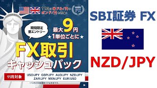 FXキャンペーン対象通貨ペア （NZドル/円）