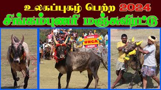 சிங்கம்புணரி மஞ்சுவிரட்டு 2024 #sivagangai #singampunari #pongal #manjuvirattu #jallikattu #2024