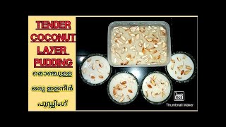 Quick Coconut milk pudding / Thengapaal pudding / തേങ്ങാപ്പാൽ പുഡ്ഡിംഗ്/Fayafathi Kitchen