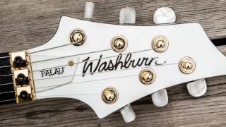 DAVID PALAU - Washburn DP10 \u0026 DP100 ( Guitarra Electrica )