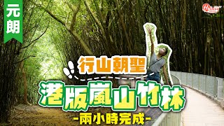 新手行山路線｜河背水塘｜元朗行山朝聖港版嵐山竹林 兩小時完成！超罕見S型水壩＋全港最細灌溉水塘｜元朗好去處｜HolidaySmart