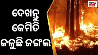 Forest Fire News | ଜଙ୍ଗଲ ନିଆଁ ବଢ଼ାଉଛି ଟେନ୍‌ସନ୍‌ |Forest Fire Continues To Spread  In Ganjam Odisha