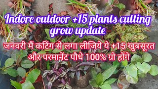 #जनवरी में #कटिंग #से #लगाओ ये +15 खुबसूरत और #permanent #indoor #outdoor #पौध #100% #ग्रो #होंगे 🌿🤗