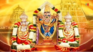 ஸ்ரீ சீனிவாச கோவிந்தா | Sri Srinivasa Govinda - Video| Perumal Songs| Balaji Padal#Tamil God Song