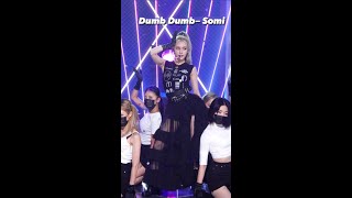 JEON SOMI (전소미)- ‘Dumb Dumb’ stage mix